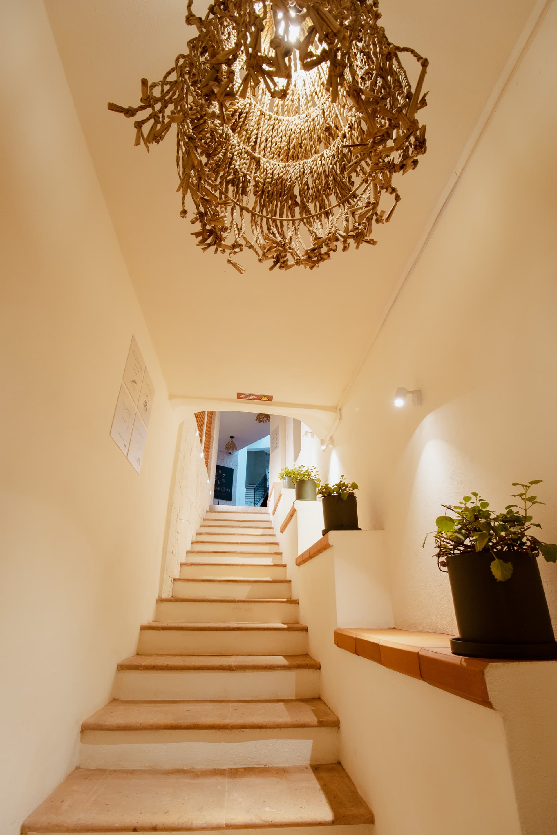  BERNARDINO BOUTIQUE HOTEL imagen 8
